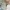 9.7%-of-companies-in-germany-use-or-plan-to-use-blockchain-technologies-|-ifo-institute